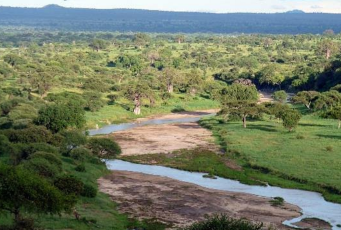Tarangire National Park