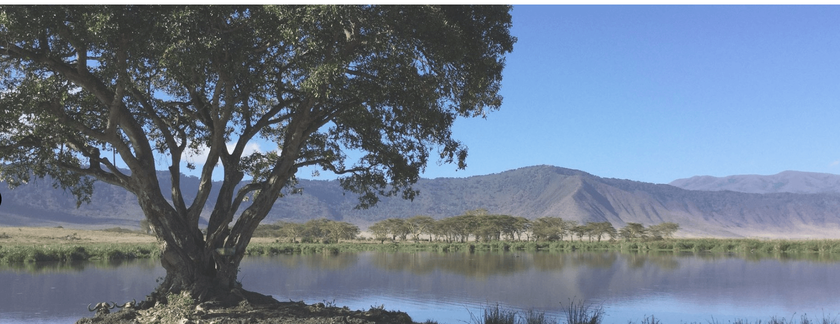 Arusha National Park