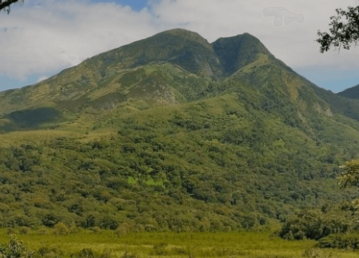 Kahuzi-Biega National Park