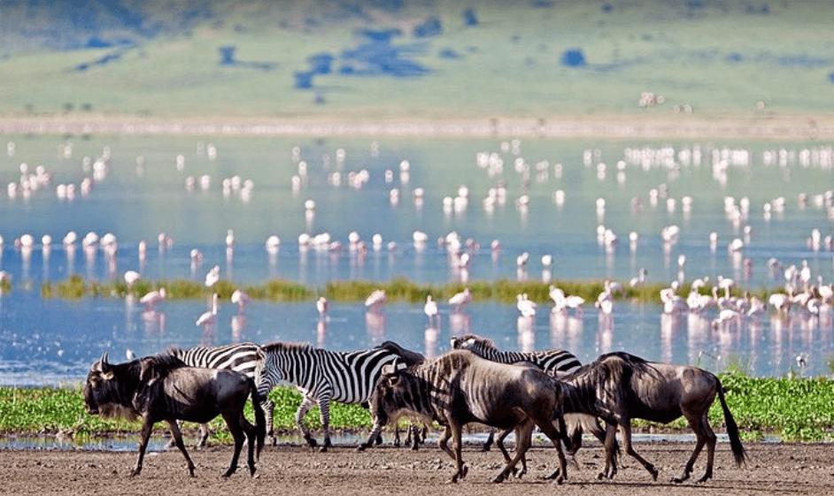 Lake Manyara National Park